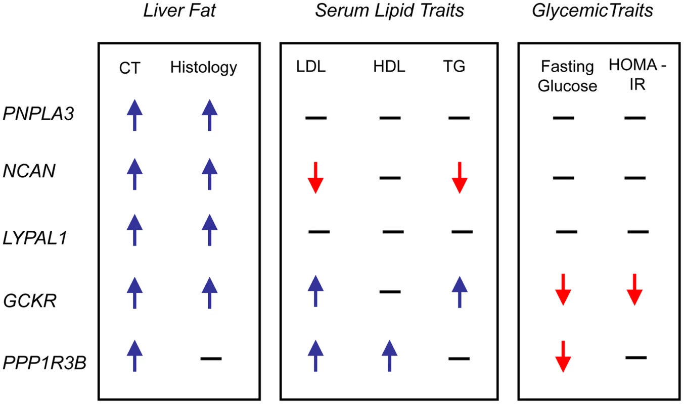 Effects on traits.