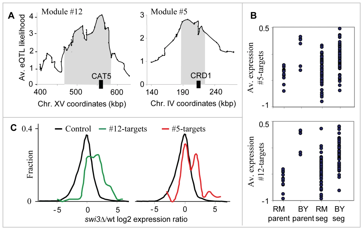 The respiration modules (#12 and #5).
