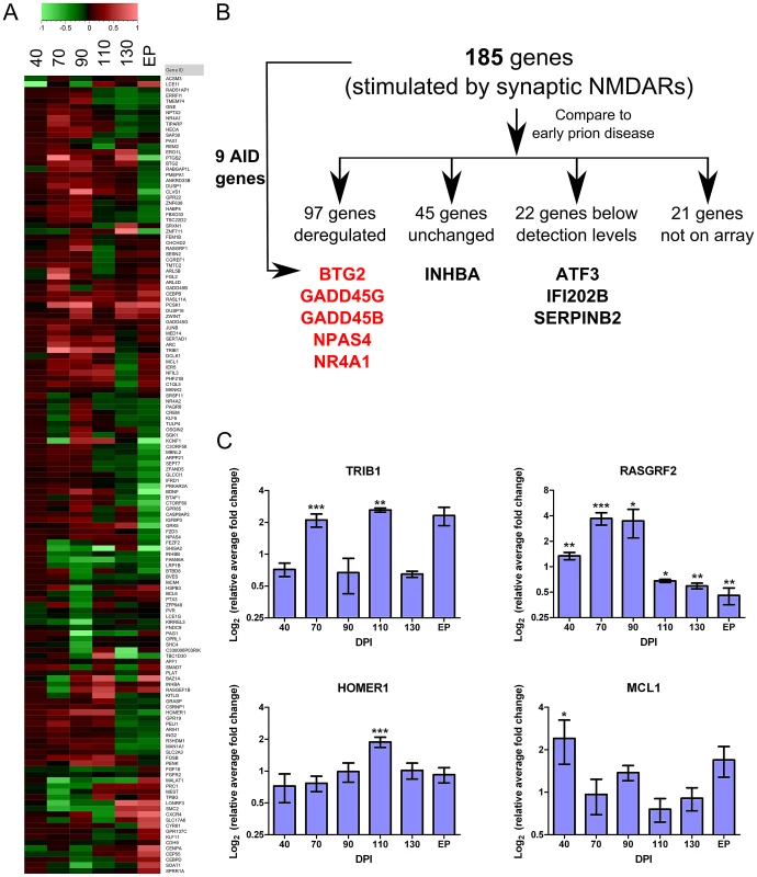Genes deregulated during early prion disease suggest the stimulation of a neuroprotective mechanism.