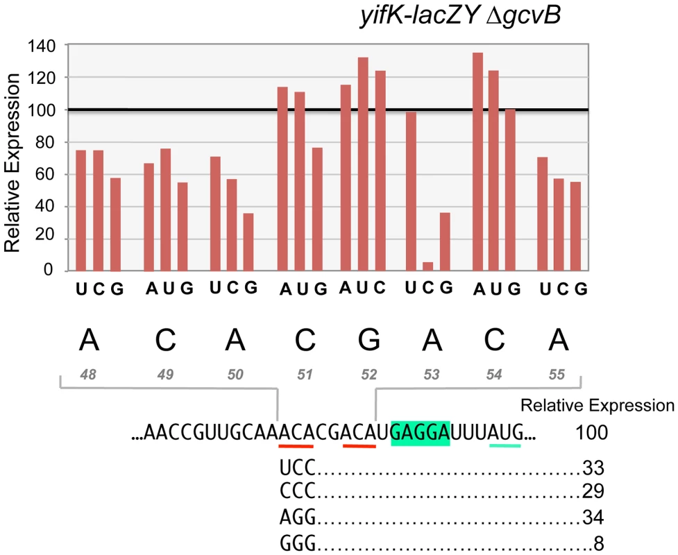 Mutational analysis of the enhancer element.