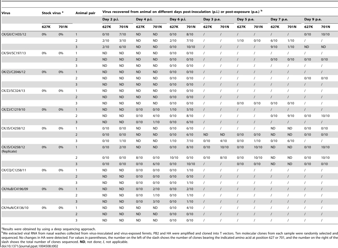 Assessment of the presence or absence of the 627K and 701N mutations in the PB2 segment of viruses recovered from the nasal washes of H9N2 influenza virus infected or exposed ferrets.