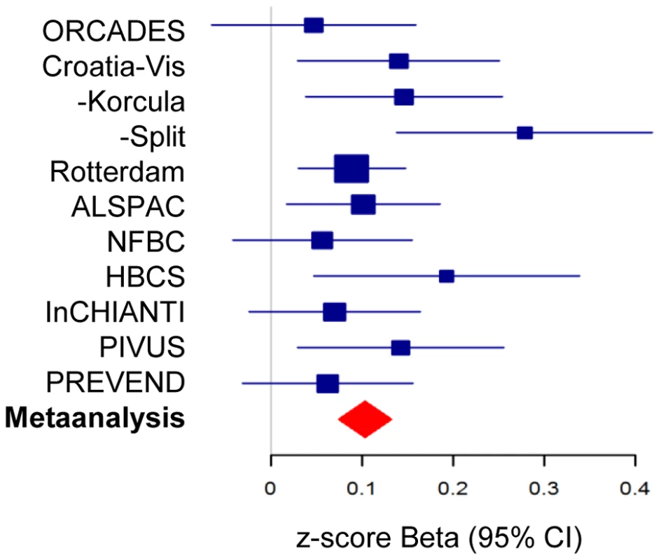 Forest plot of association of morning plasma cortisol with rs12589136.