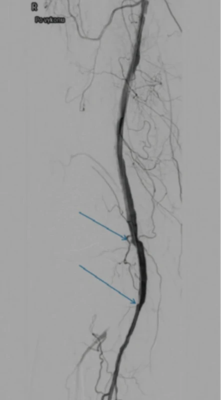  / Fig. 5.