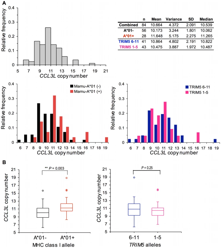 Distribution of <i>CCL3L</i> copy number in Indian-origin rhesus monkeys.