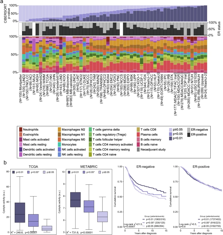 Summary of inferred immune cell subsets by study.