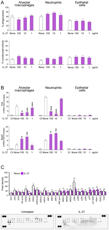 IL-37 dampens inflammasome activation in phagocytic cells.