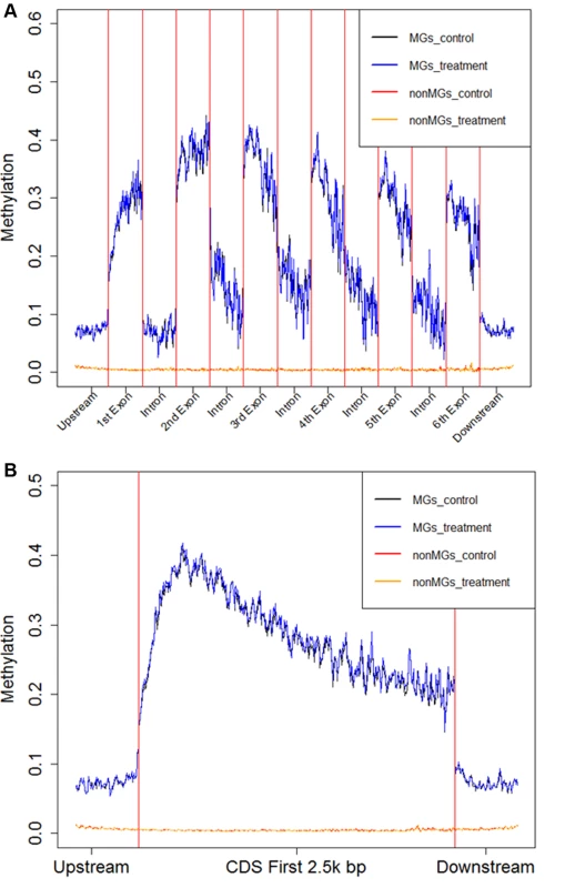 Average fractional methylation levels in different gene regions.