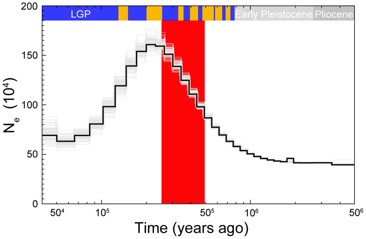 PSMC estimate of the effective population size change over time for collared flycatcher.