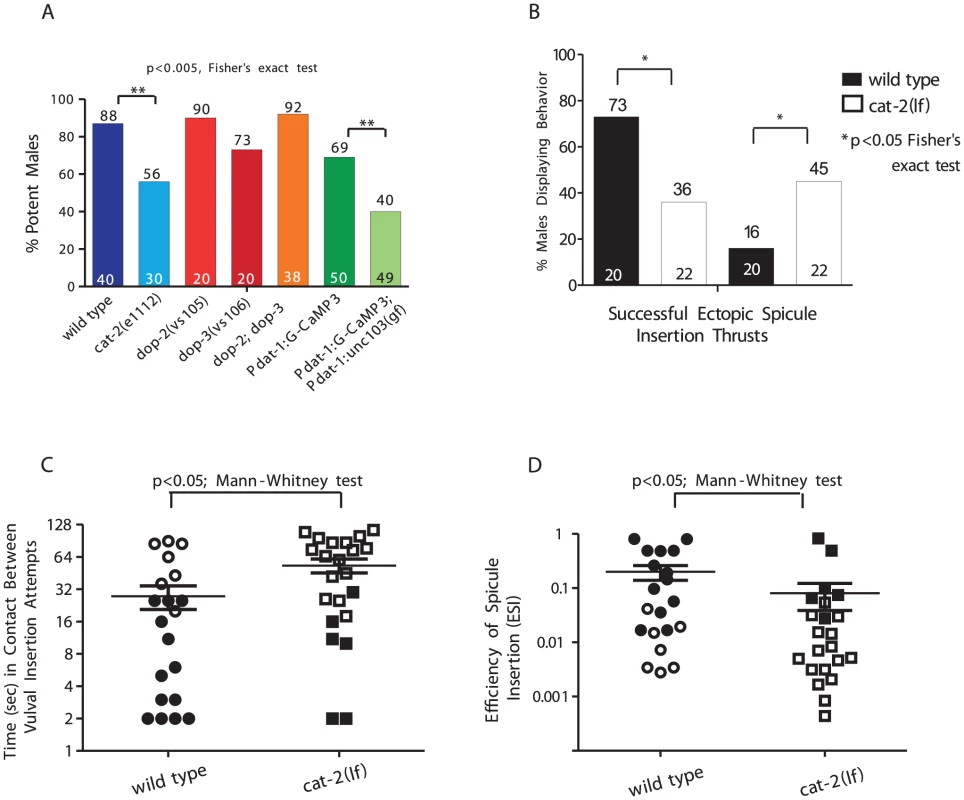 DA is required for spicule insertion during mating.