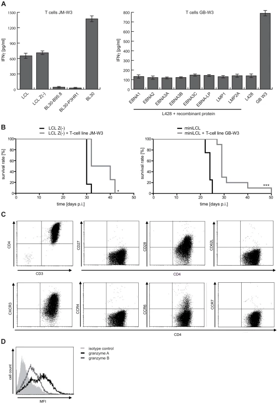 LCL Z(-)- as well as miniLCL-stimulated T-cell lines recognize autoantigens and prolong mouse survival.