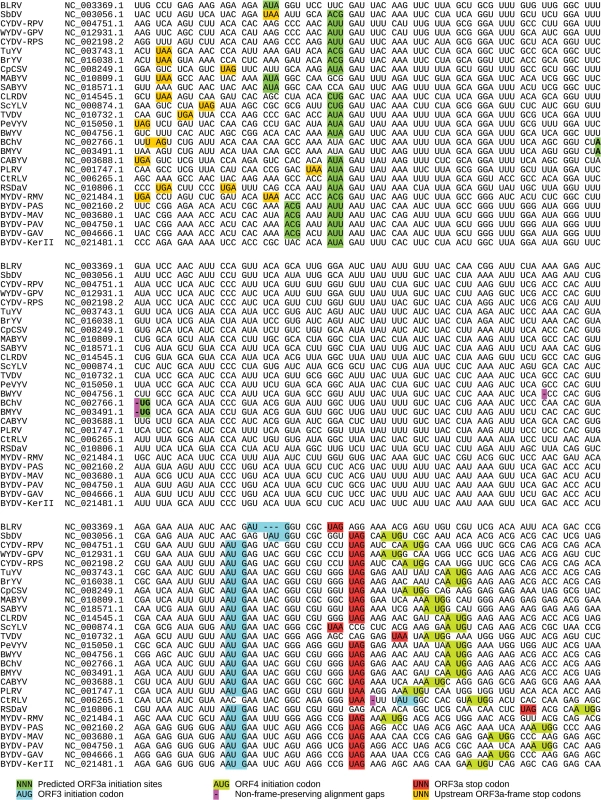 Sequence analysis of ORF3a and flanking regions.