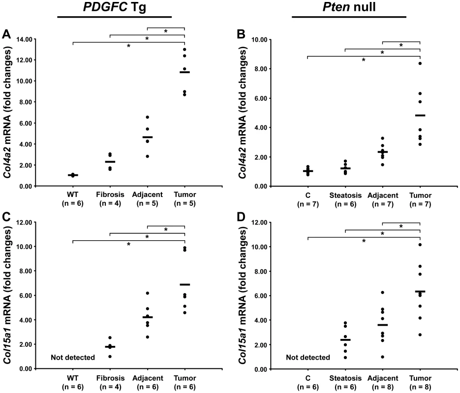 Up-regulation of <i>Col4a2</i> and <i>Col15a1</i> mRNAs in <i>PDGFC</i> Tg and <i>Pten</i> null tumors.