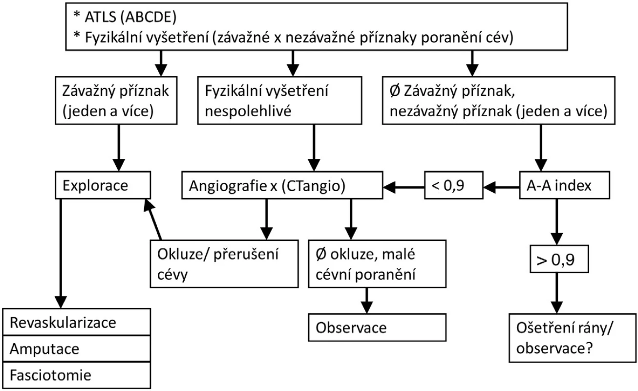 Indikace k urgentní amputaci v souvislosti s poraněním velkých končetinových cév