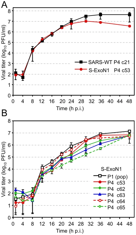 Growth analysis of viral replication.