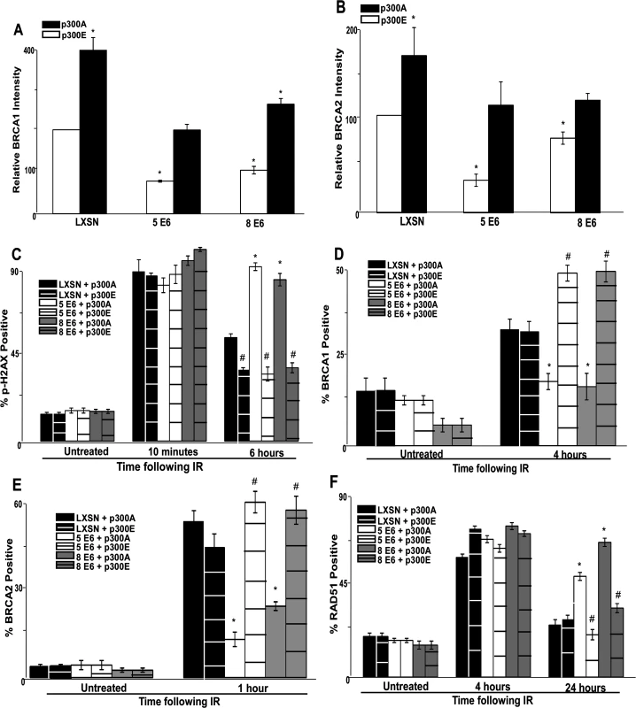 A mutant p300 that is resistant to β-HPV E6 mediated degradation rescues homology dependent repair of DSBs.