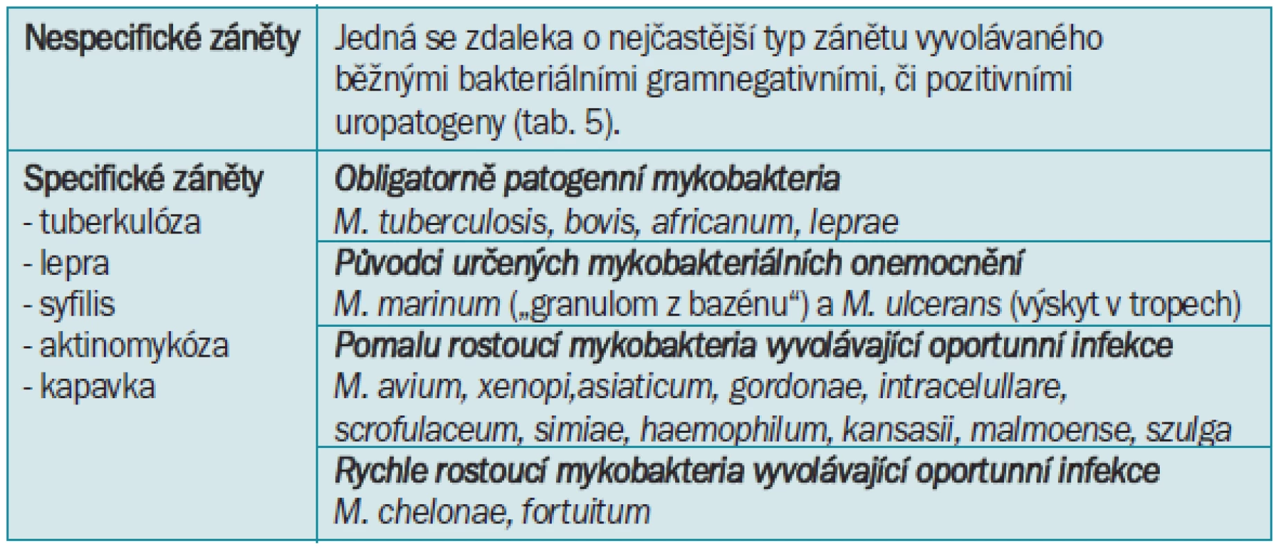 Dělení zánětů podle histopatologických změn.