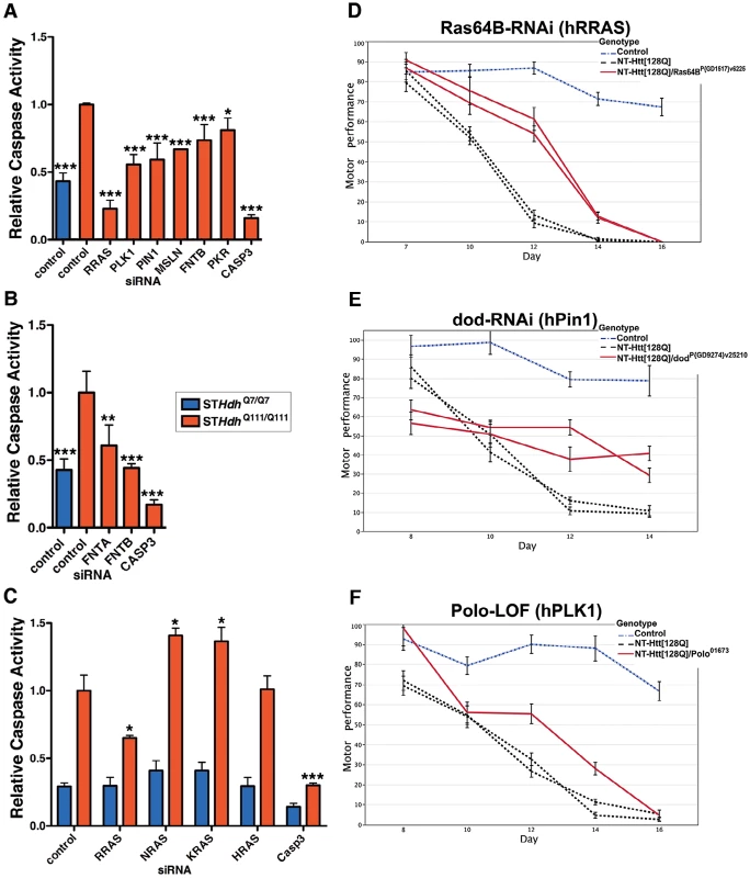 Suppression of Htt Toxicity by Knock-Down of RRAS Signaling Is Conserved across HD Models.