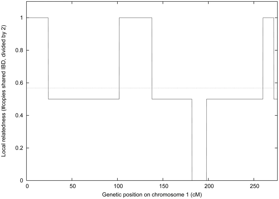 Local and genome-wide IBD.