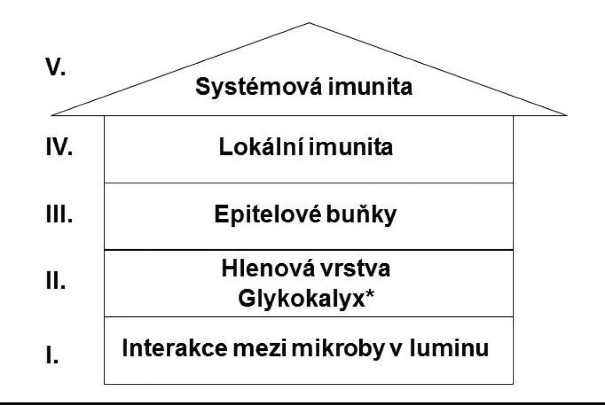 Obranná strategie trávicího systému. Upraveno podle J. Krejska et al. (5).