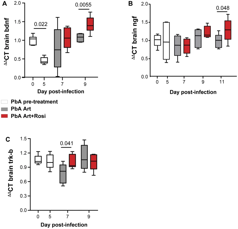 Rosiglitazone adjunctive therapy increases expression of neurotrophic factors in the brains of malaria-infected mice.