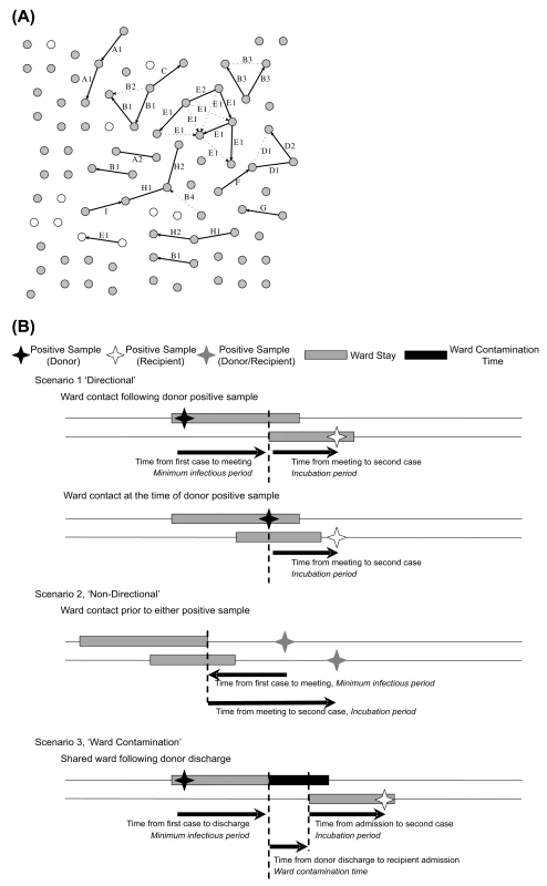 Ward-based links.