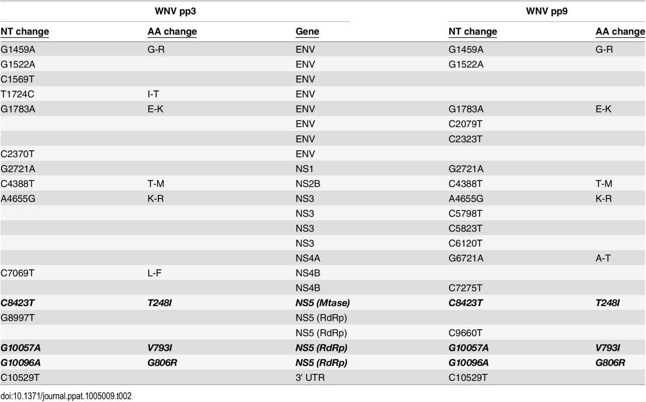 Mutations identified in clonal WNV populations with decreased ribavirin susceptibility.