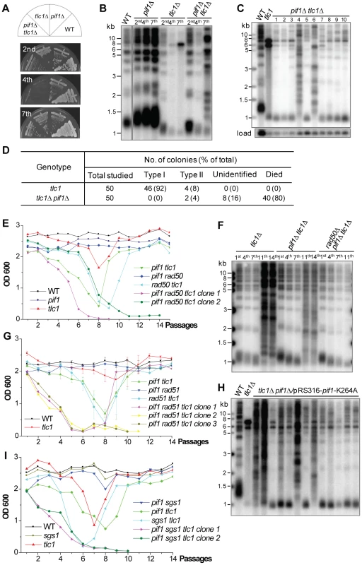 Type I recombination requires Pif1 helicase.