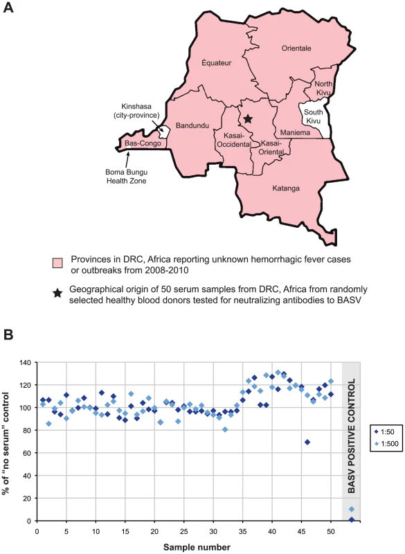 BASV Screening in DRC, Africa.