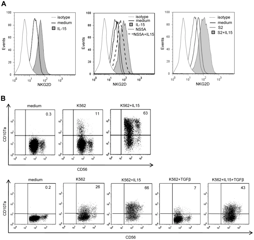 NS5A-induced alterations of NKG2D are antagonized by exogenous IL-15.