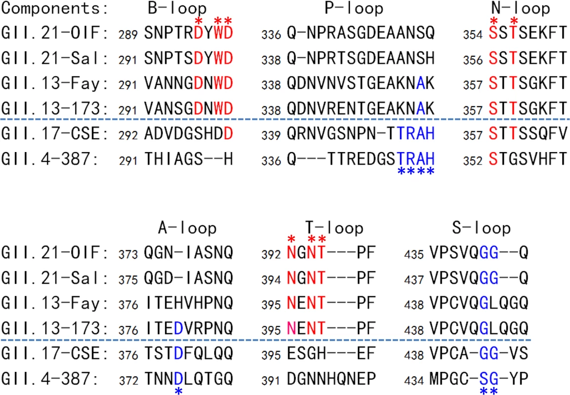 Sequence alignment of the surface loops of the P domains forming the HBGA-binding interfaces.