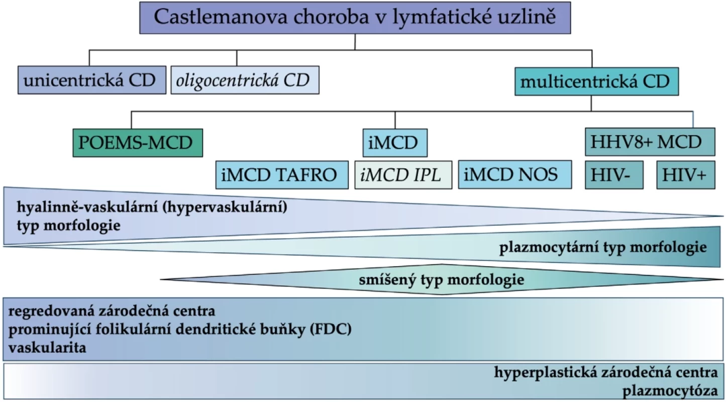 Klasifikace a dělení Castlemanovy choroby s přihlédnutím k nově definovaným podtypům