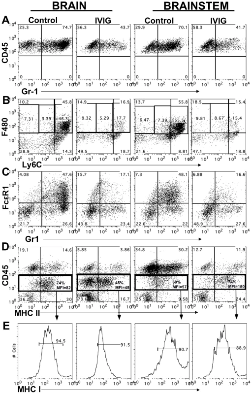 IVIG alters the phenotype of macrophages and microglia.