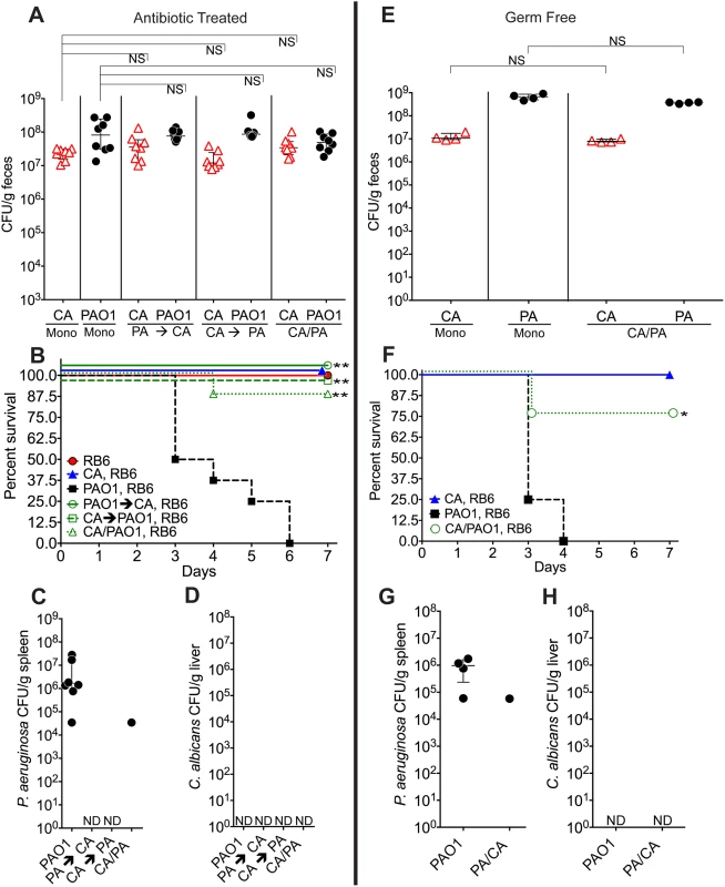 <i>C</i>. <i>albicans</i> inhibits <i>P</i>. <i>aeruginosa</i> virulence in mice.