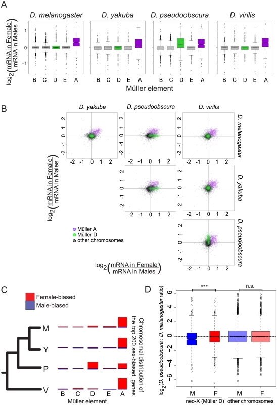 Gene expression on the neo-X (Müller D element) in <i>D</i>. <i>pseudoobscura</i> does not show complete dosage compensation.