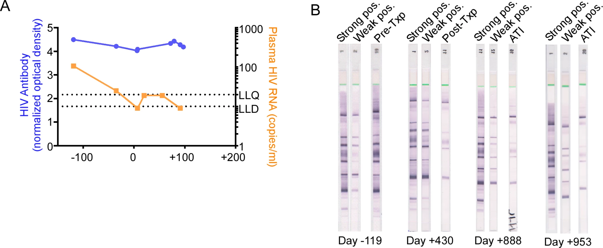 HIV-1 antibody assessment in the peri-transplant period.