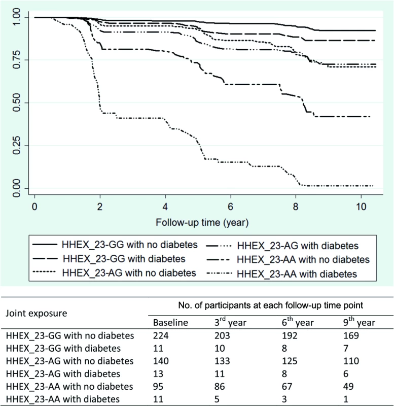 Kaplan–Meier survival estimates from baseline to dementia occurrence by diabetes (including prediabetes) and <i>HHEX_23</i> genotype (adjusted for age, sex, and education).