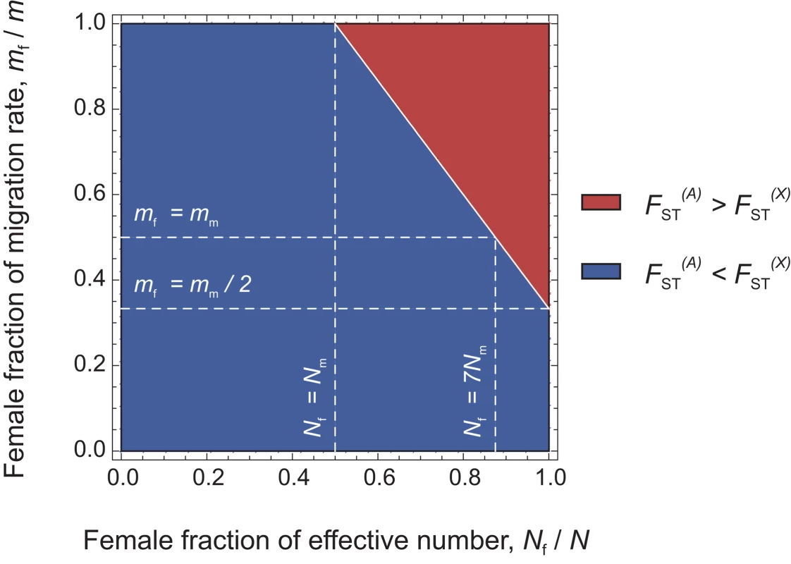 Diagram representing the relative values of expected genetic differentiation for autosomal markers  and for X-linked markers .