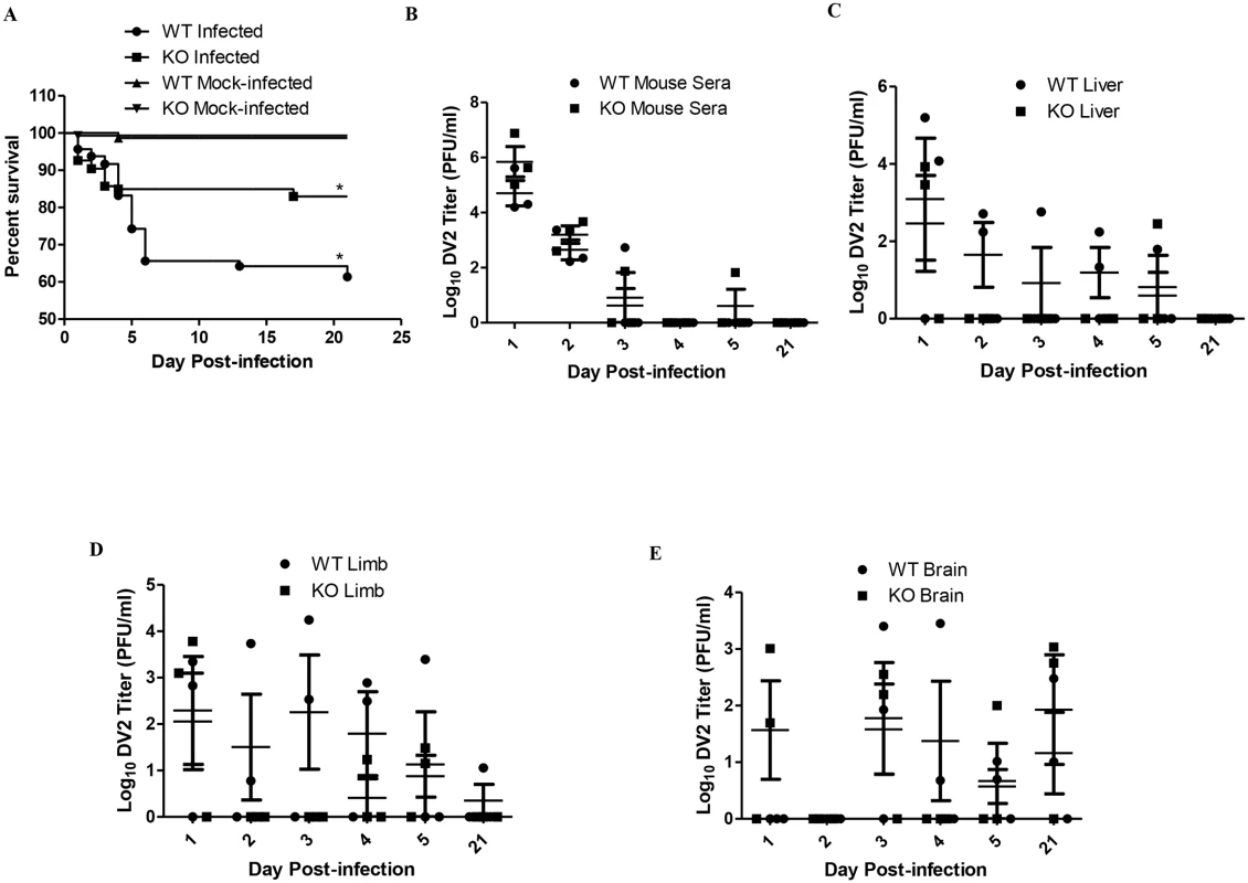 TLR6 knockout enhanced the survivability of DV2-infected mice.