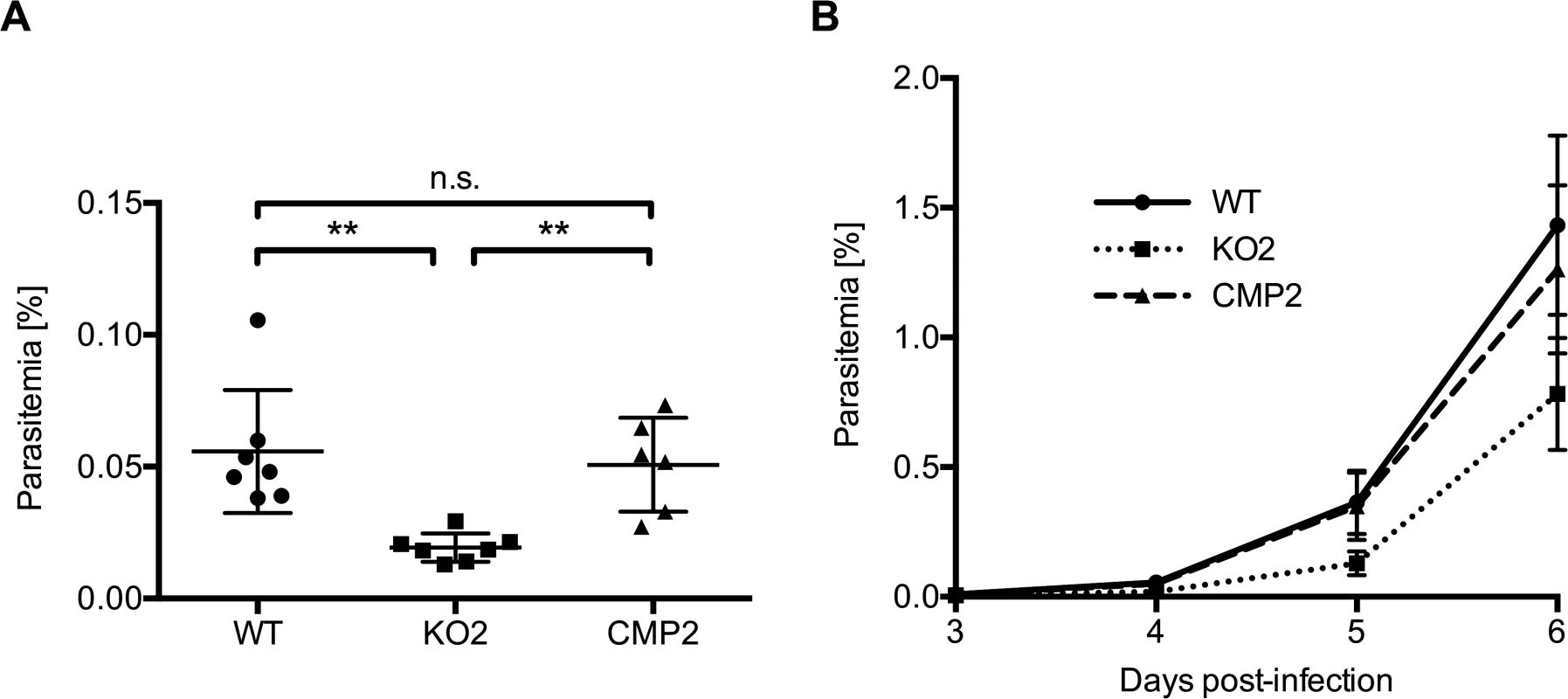 PbPL-knockout parasites take longer to appear in the blood after sporozoite infection.