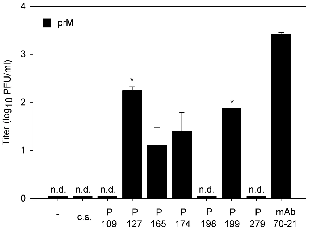 Immature DENV becomes infectious in the presence of DENV-immune sera.