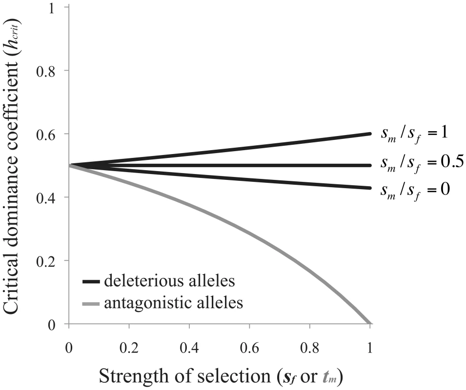 Criteria for the evolution of RXI.