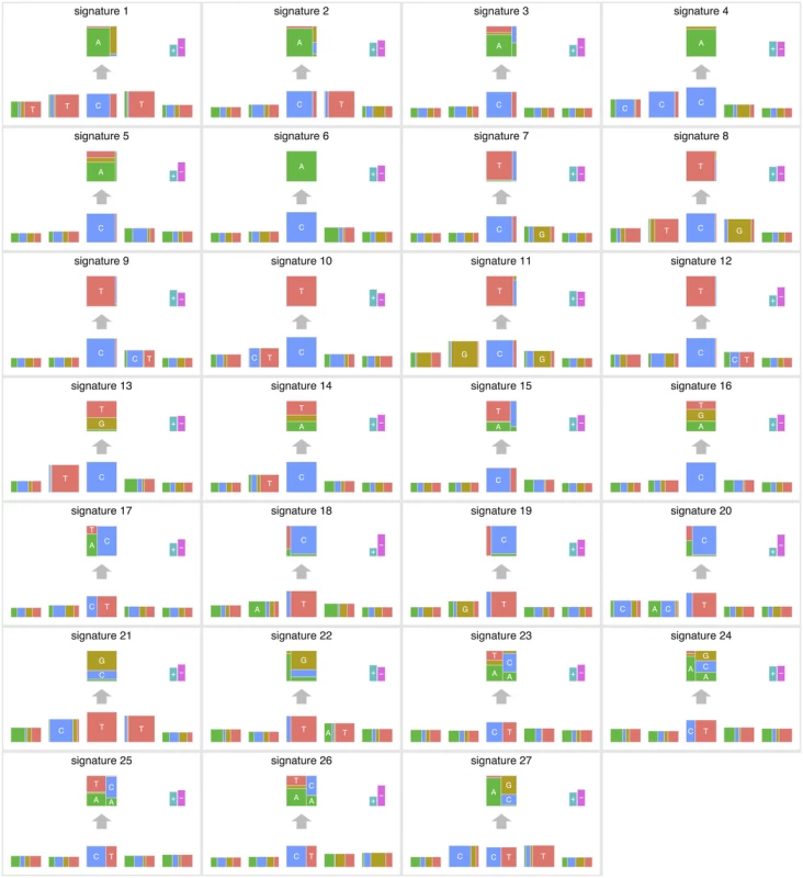 The summary of mutation signatures across 30 cancer types [<em class="ref">8</em>] obtained using the proposed method.