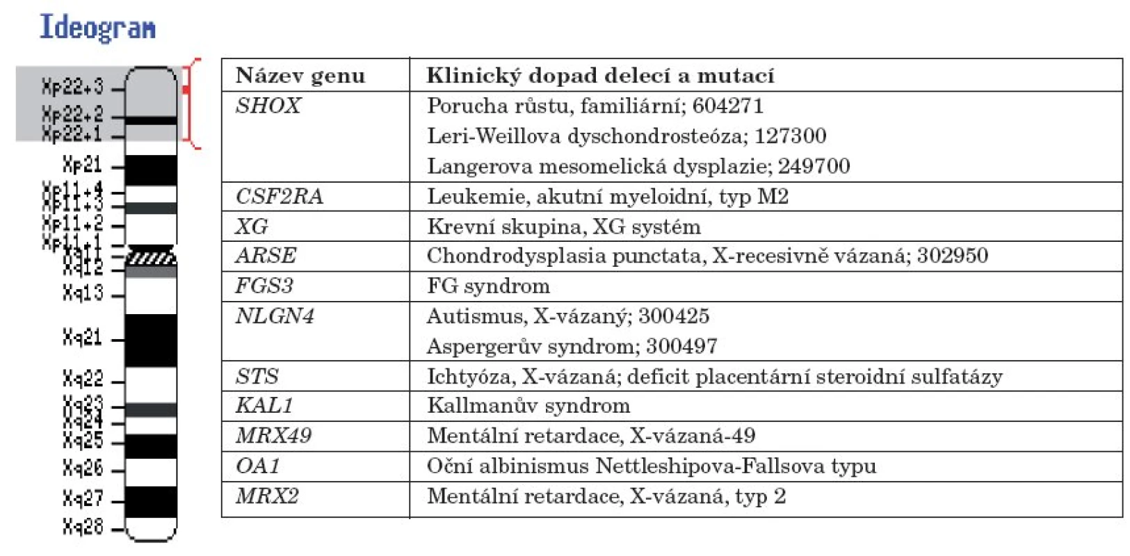 Chromozom X a klinický dopad mutací a delecí v genech na chromozomu X v oblasti Xp22.1 –
Xp22.3 (upraveno podle NCBI Genome Resource Guides).