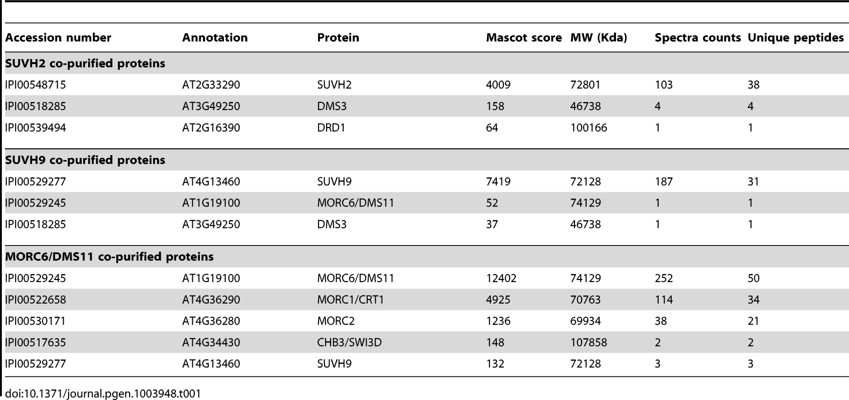 List of affinity co-purified proteins of SUVH2-Myc, SUVH9-Flag, and MORC6-Flag.