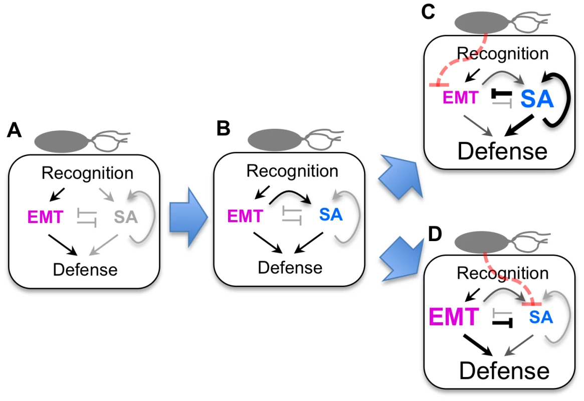 A hypothesis of sector switching.