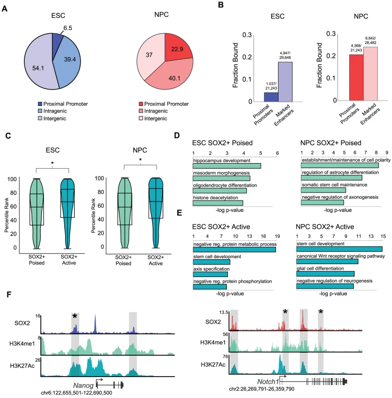 SOX2 binds distinct enhancer regions in ESCs and NPCs.