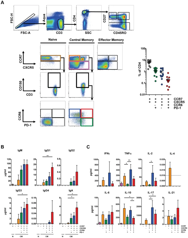 Characterization of peripheral T<sub>FH</sub> cells.