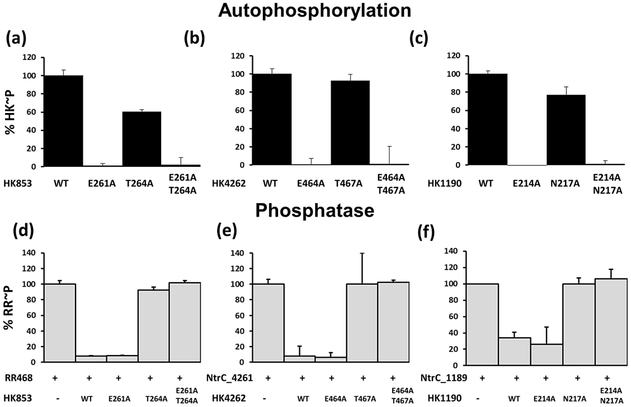 Kinase and Phosphatase Assays with HisKA Proteins <i>T. maritima</i> HK853 and <i>M. xanthus</i> HK4262 and HK1190.