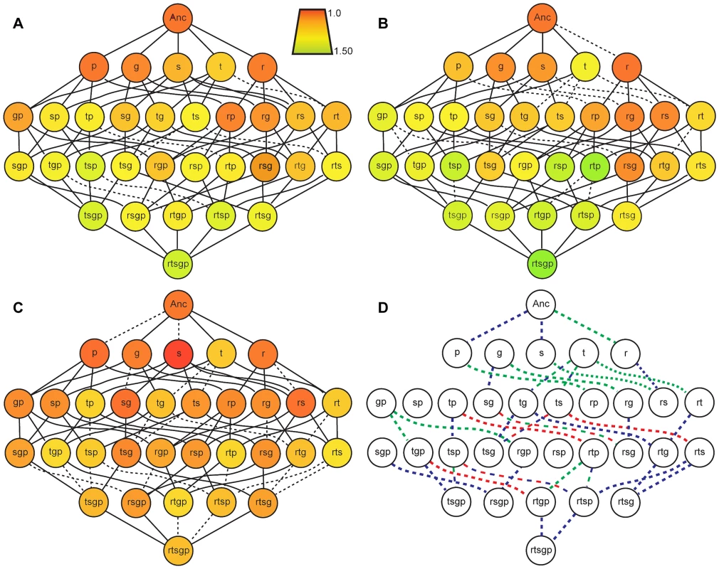 Fitness landscapes in the selection environment and in two novel environments.