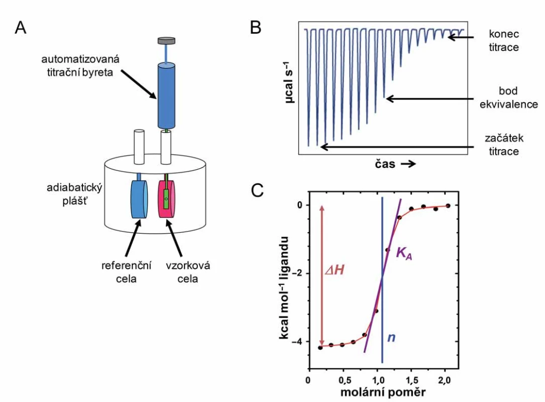 Schematické znázornění přístroje MicroCal<sup>®</sup> (A).
Teplo uvolněné při interakci dvou interakčních partnerů je zaznamenáno jako funkce času (B) a po integraci jako závislost entalpie na molárním poměru interakčních partnerů (C). Z výsledního grafu je možné přímo definovat hodnoty změny entalpie, asociační konstantu i stechiometrii interakce. Převzato z manuálu GE Healthcare [23].
